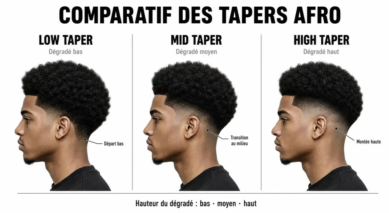 Schéma comparatif des variantes de taper afro : low, mid et high taper